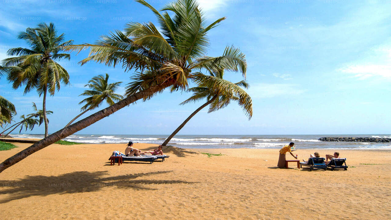 Negombo